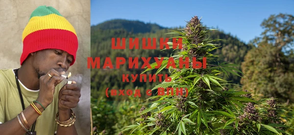 первитин Богородицк