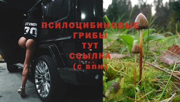 MDMA Богданович