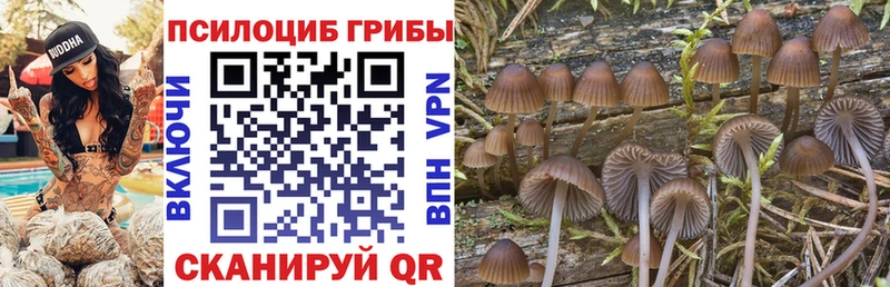 Купить закладки  Асино  Галлюциногенные грибы MAGIC MUSHROOMS 